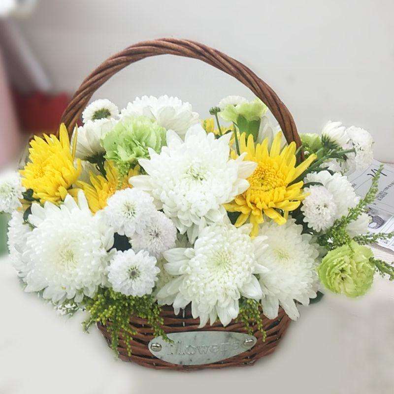 黄白菊/花篮祭奠/39#