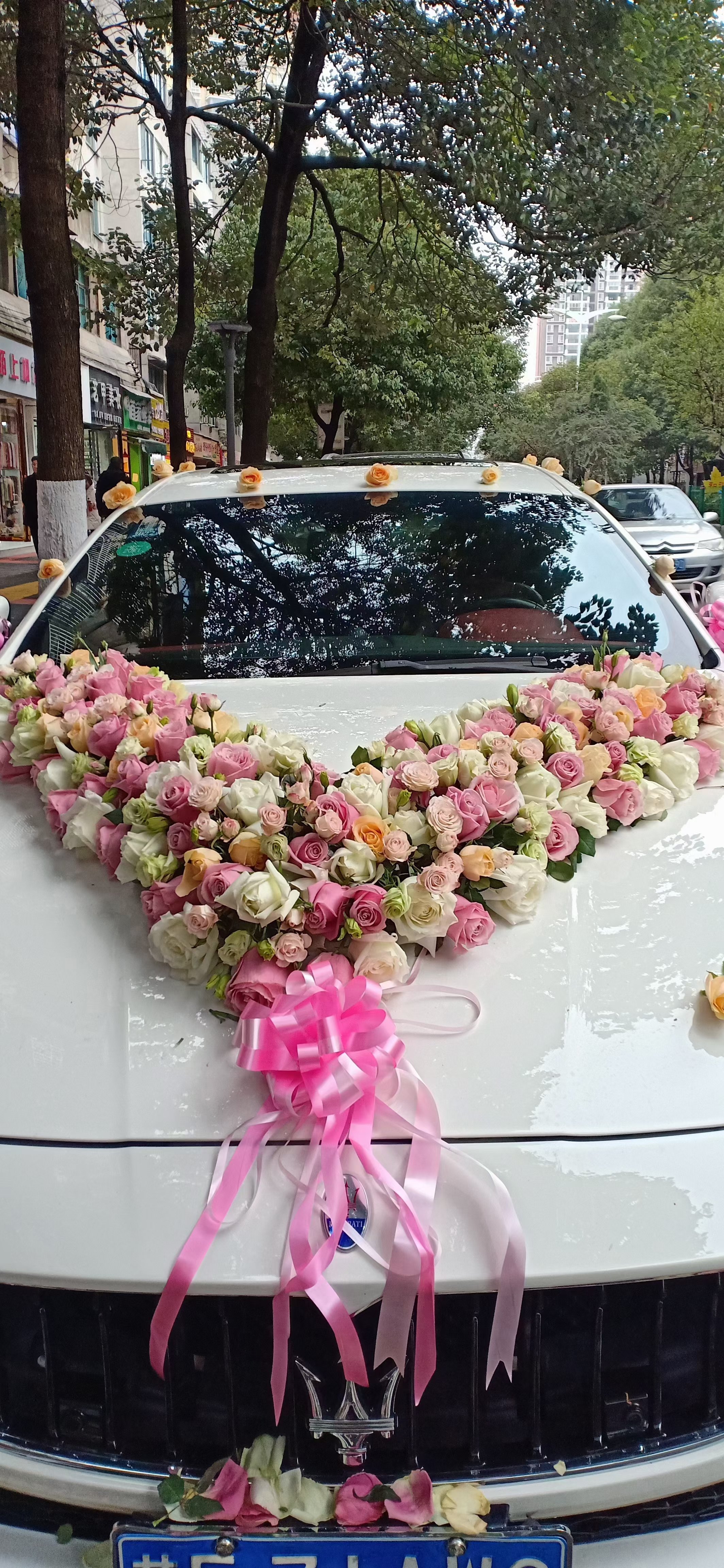 彩玫香槟v字花车/01#