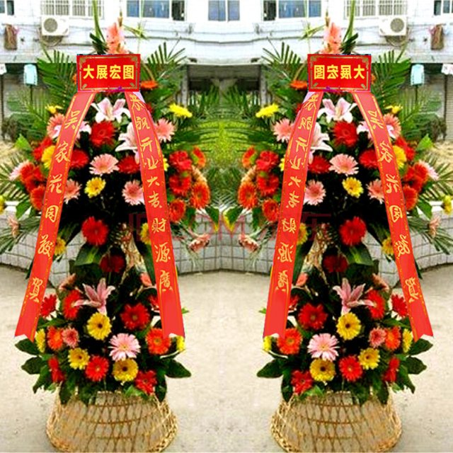 红荷/非洲菊/双层/19#