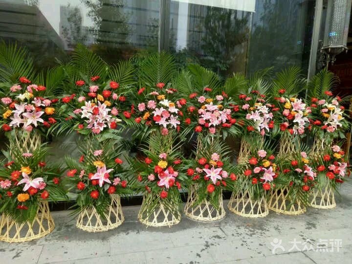 红荷6支/非洲菊/34#