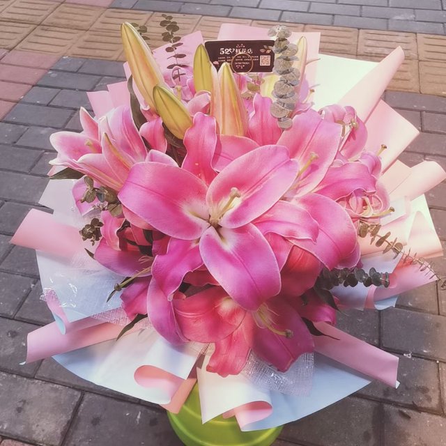 红色白荷/275#