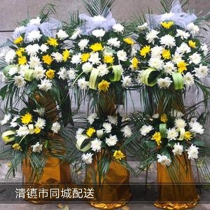 白菊/黄菊/双层/3#