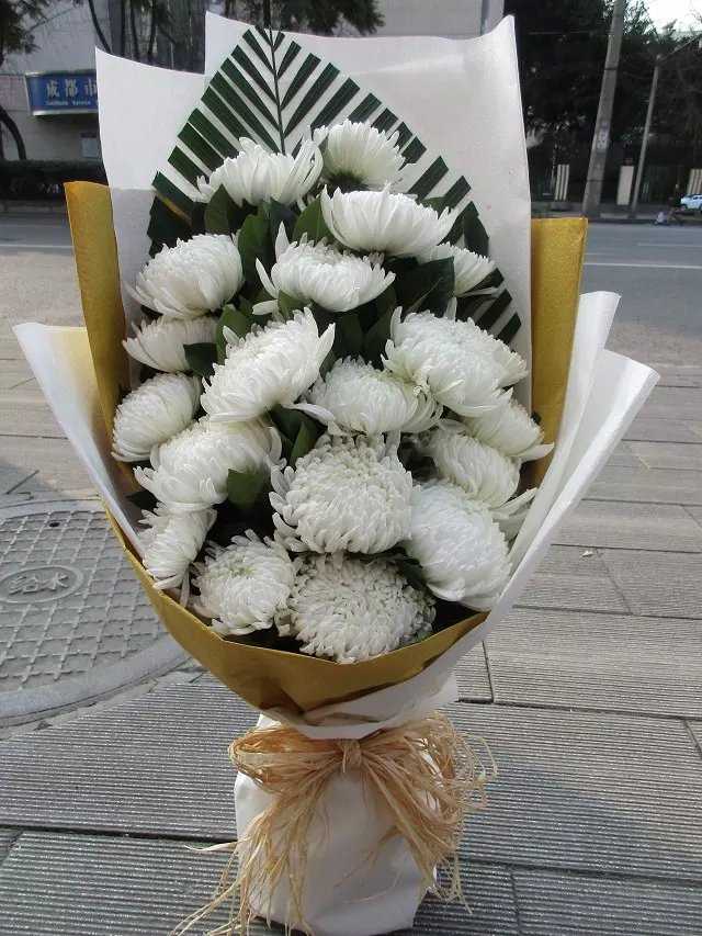 白菊花系列/15#