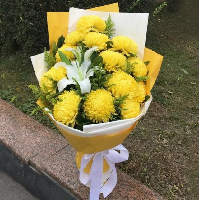 黄菊花/白荷/14#