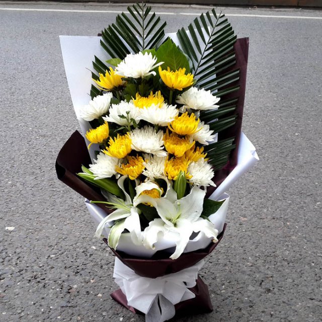 菊花/白荷/针叶/11#