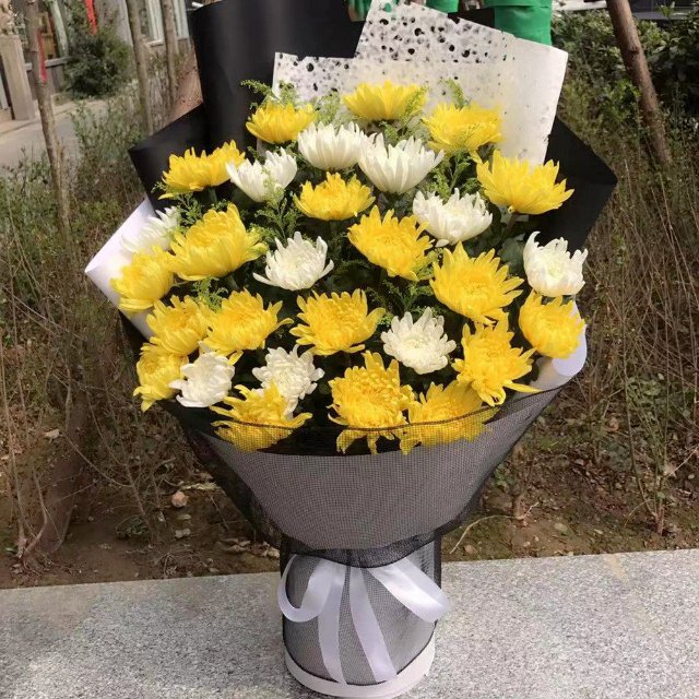 菊花/10#