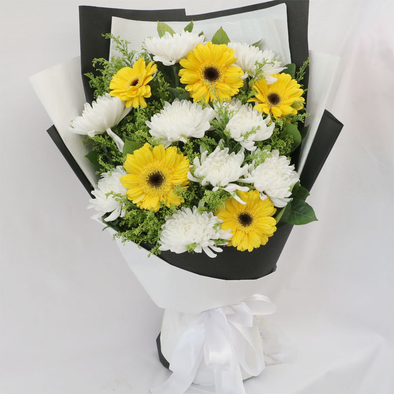 白菊花/非洲菊/9#