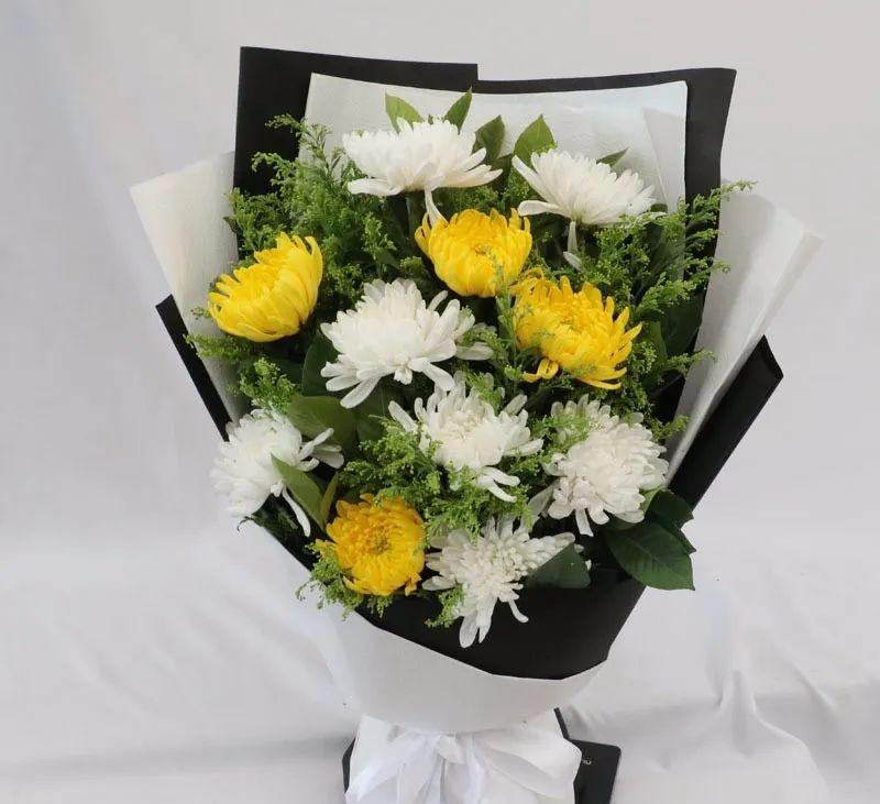 白菊花/黄菊花/8#