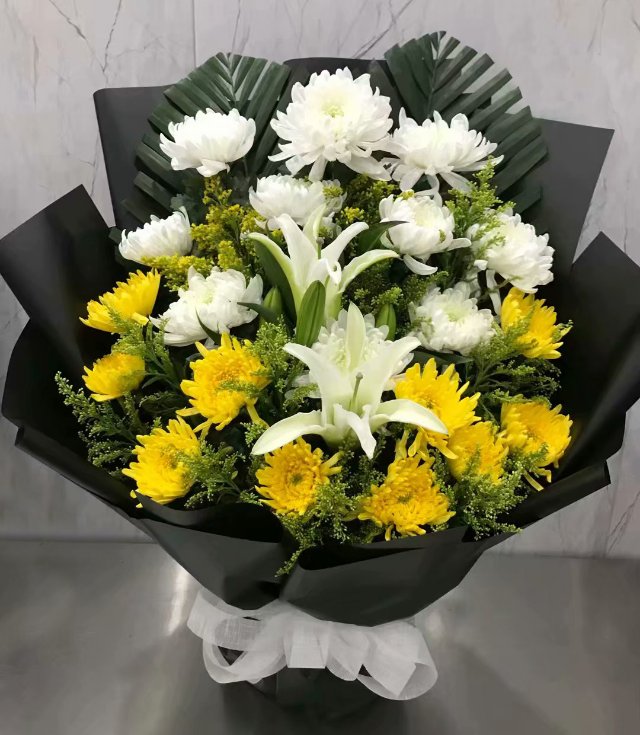 白菊/黄菊/白荷/6#