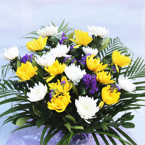 菊花祭奠花束/5#