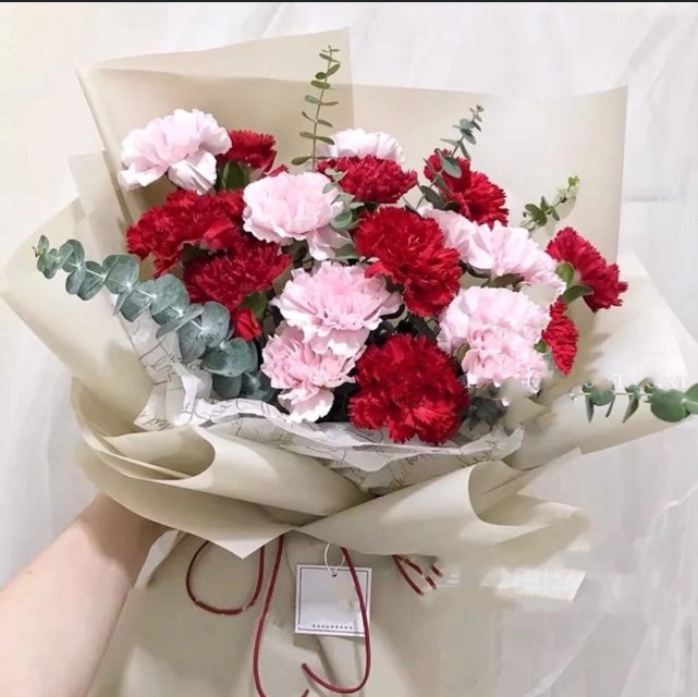 康乃馨系列/488#