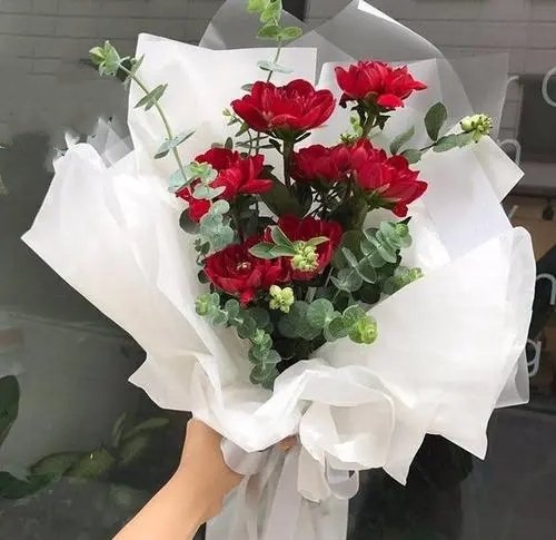 月季花/147#
