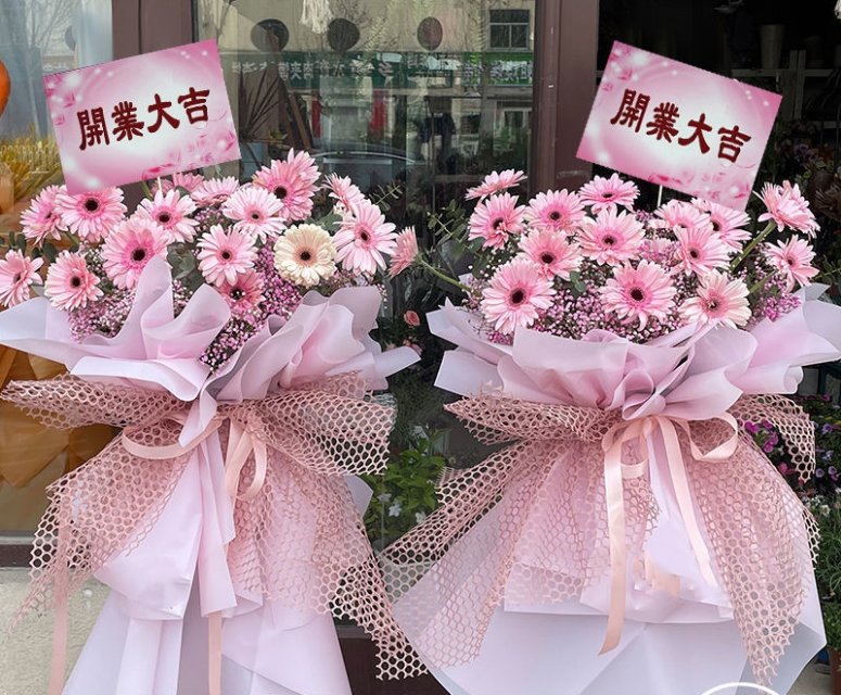 粉色非洲菊/56#