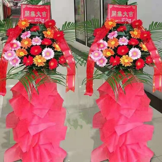 非洲菊花篮/111#