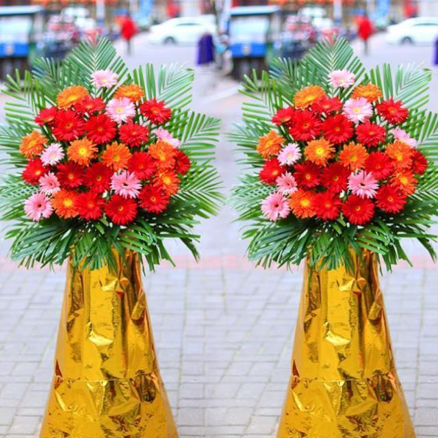 非洲菊花篮/119#