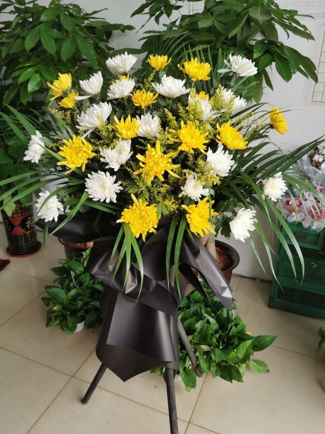 菊花/花篮/13#