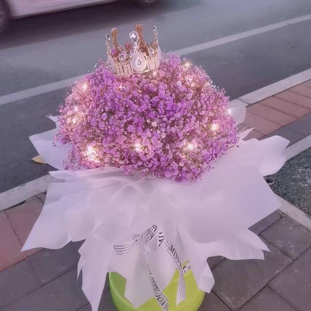 粉色满天星/86#