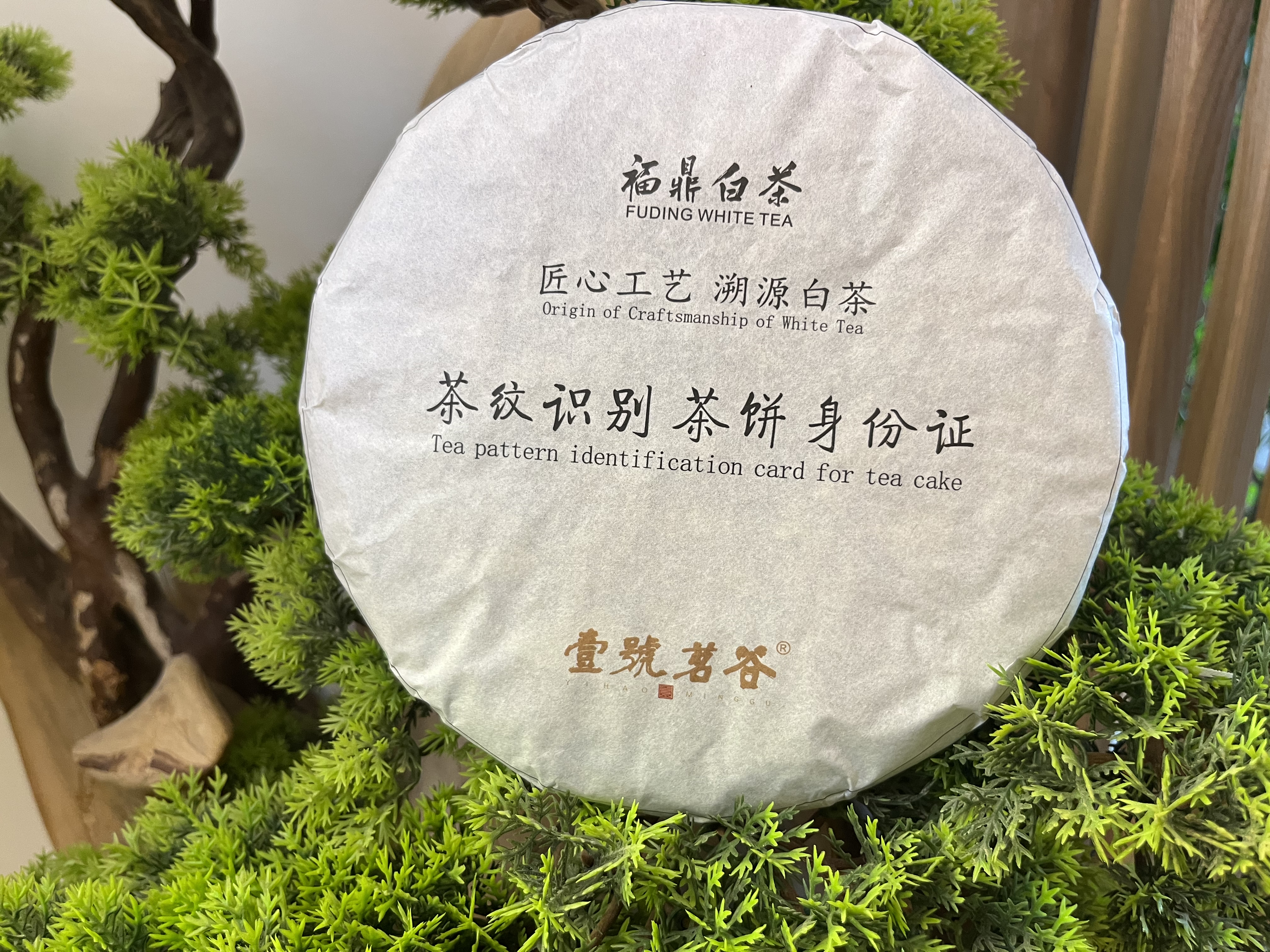 2019年溯源身份证寿眉茶饼