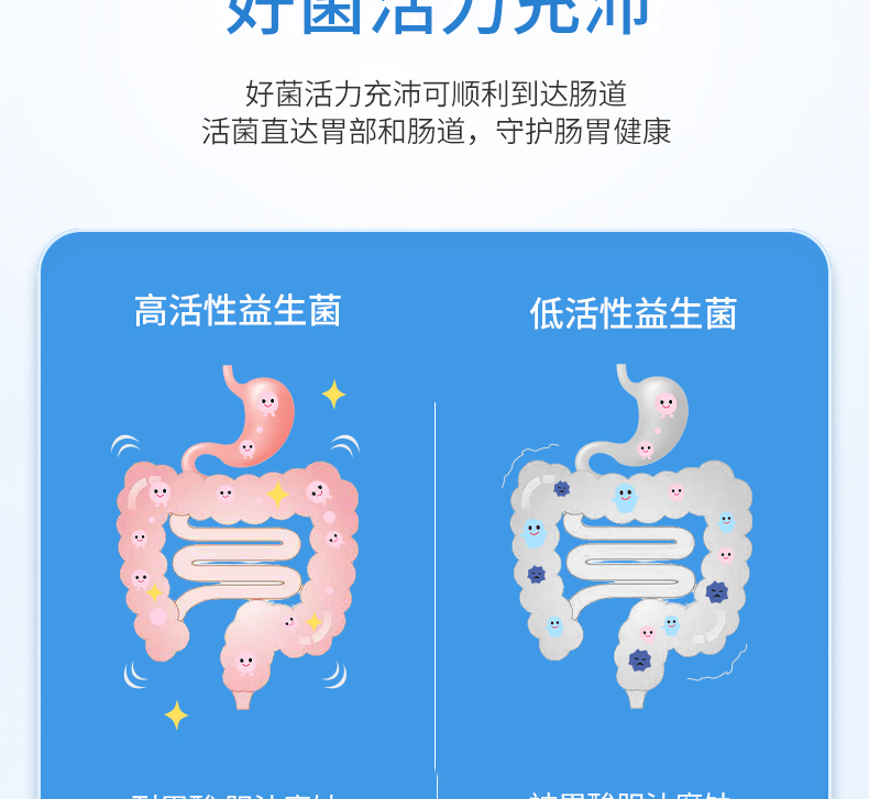 迈伊乐白蛋白肽益生菌冻干粉