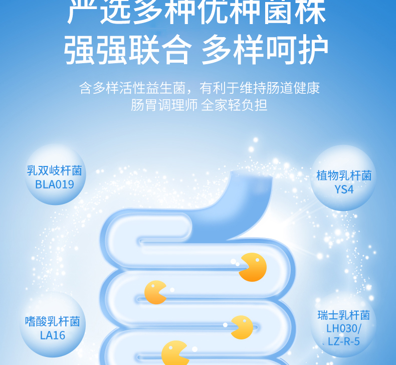 迈伊乐白蛋白肽益生菌冻干粉