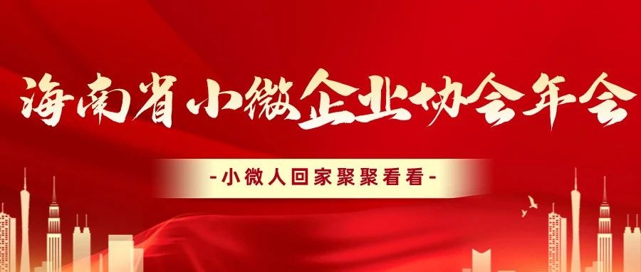 海南省小微企业协会年会邀请函
