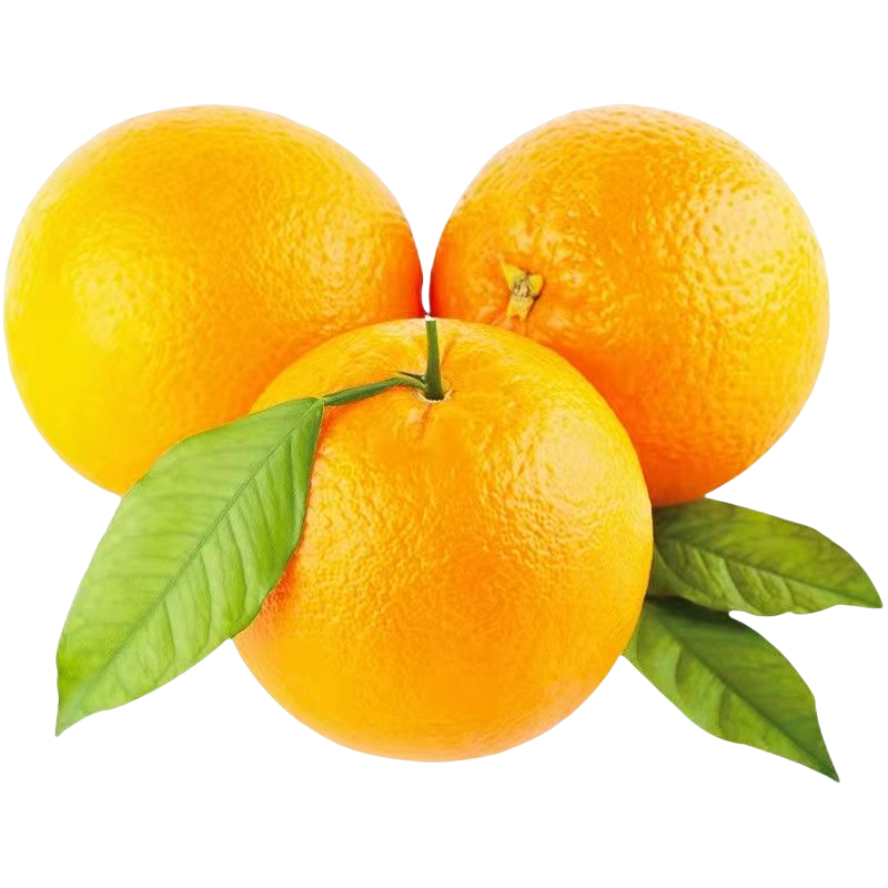 【春风优鲜】当季新鲜脐橙 超甜水果橙子维C营养500g