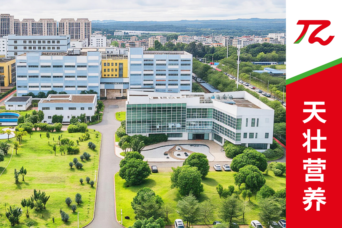 天壮营养：一马当先深耕自贸港，铸就医学营养新标杆