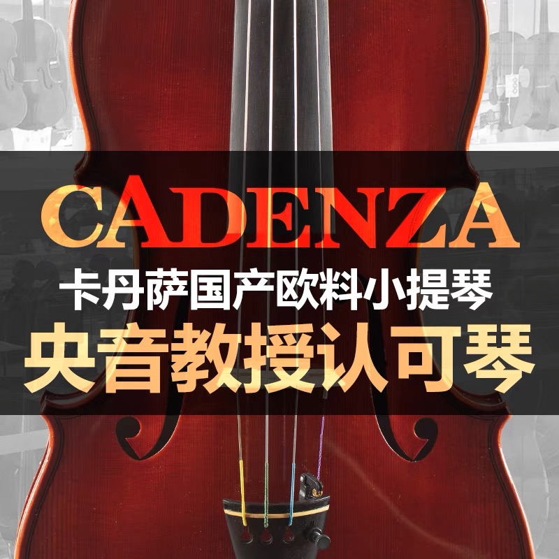 卡丹萨提琴纯手工制作提琴考级云杉木专业级提琴支持门店试奏选琴