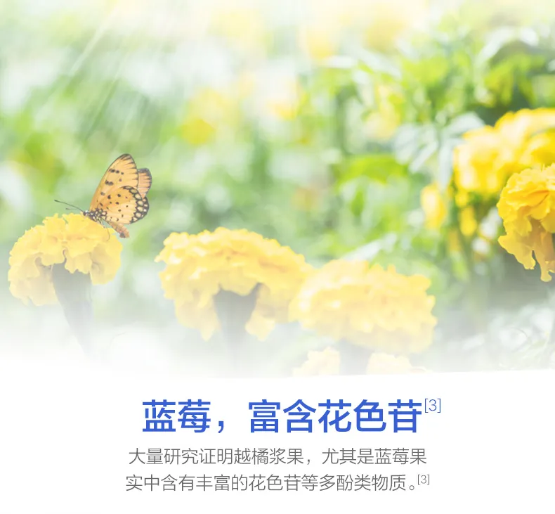 蓝莓叶黄素酯片1瓶