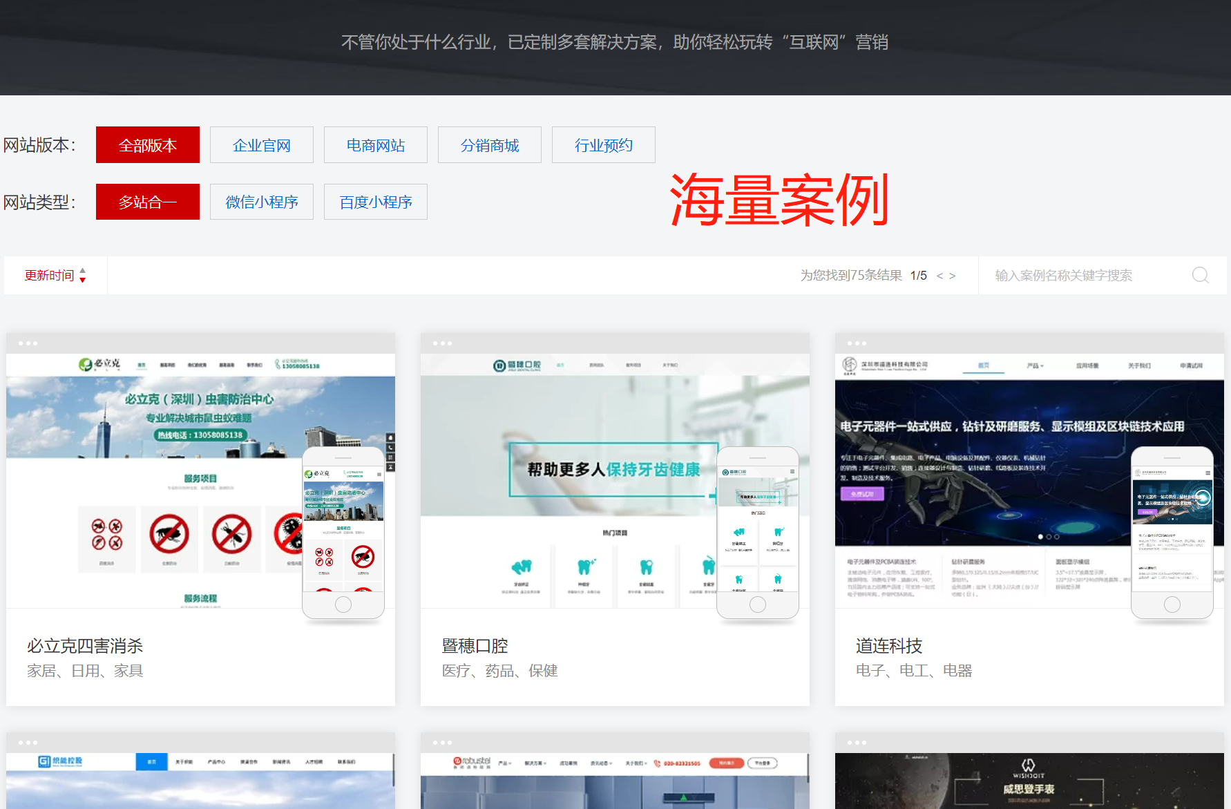 营销性网站（五合一建站）