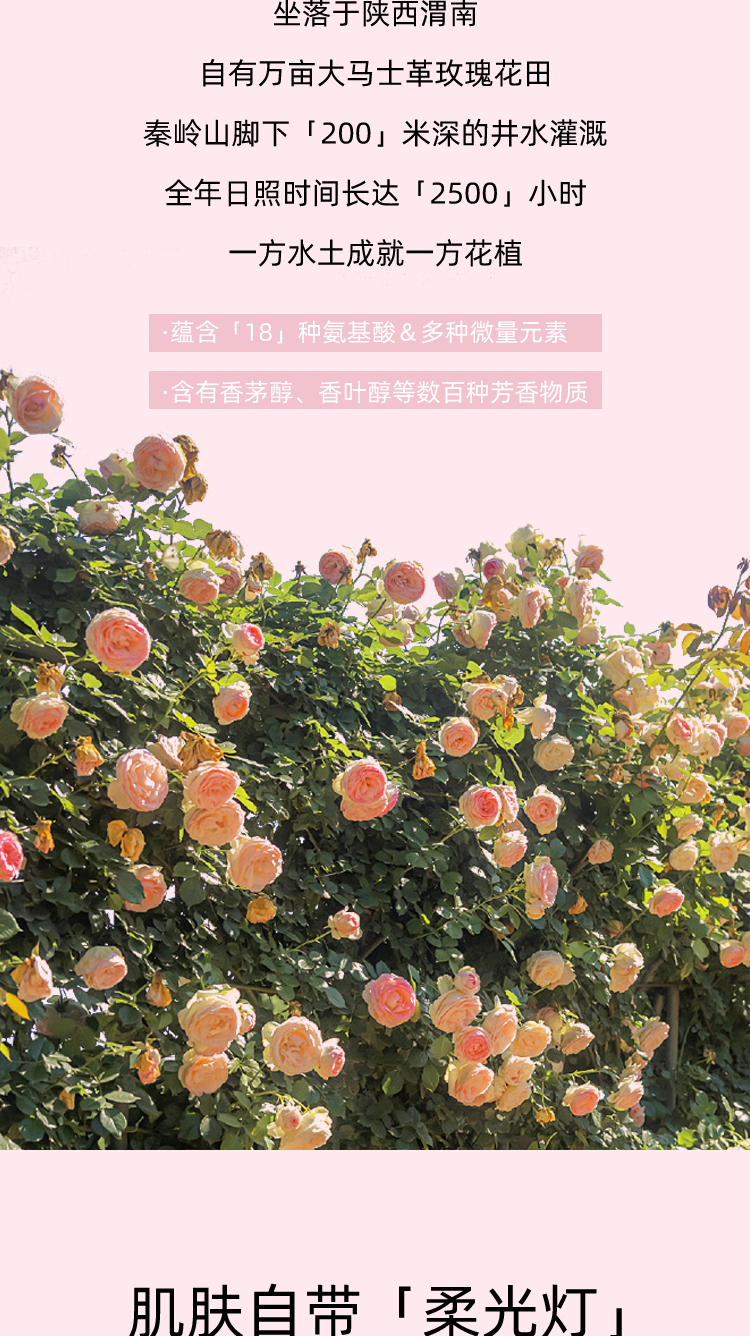 唐花传奇玫瑰活肤水