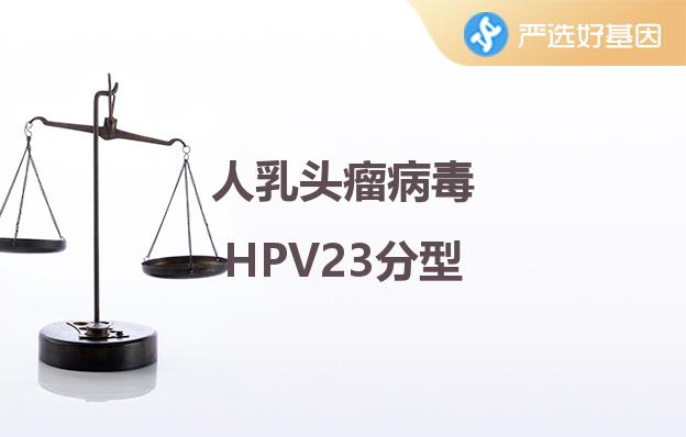 HPV 23型