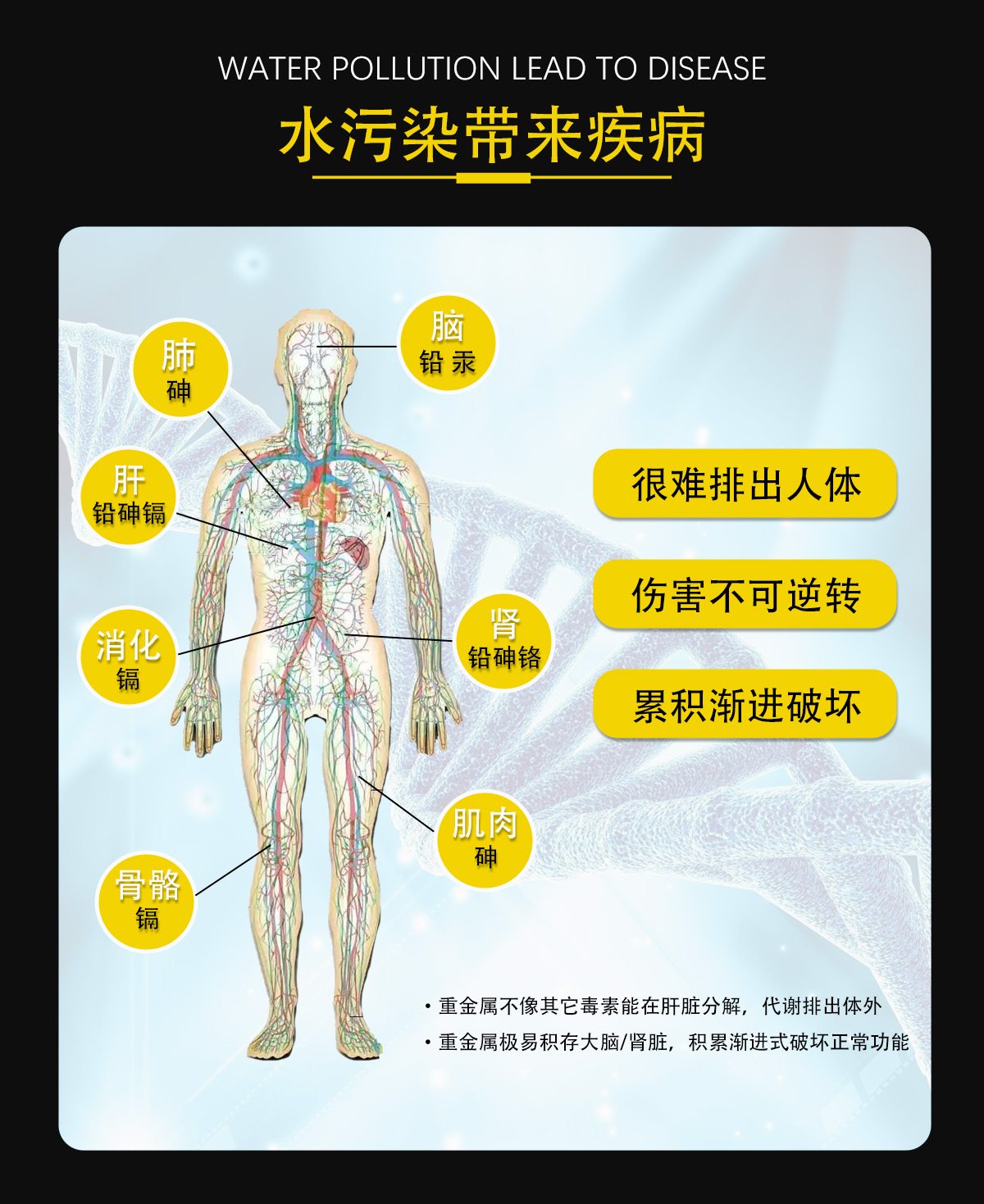 富氢足银杯