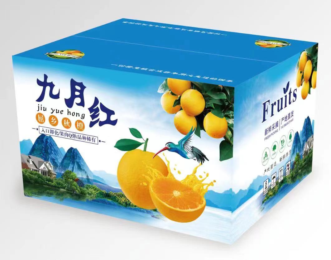 秭归屈乡秋橙九月红（10斤装）