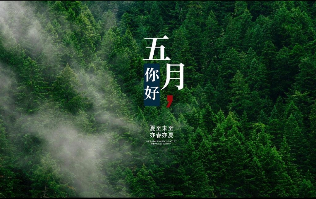 五月，万物生机盎然，心存酶好，一切美好。