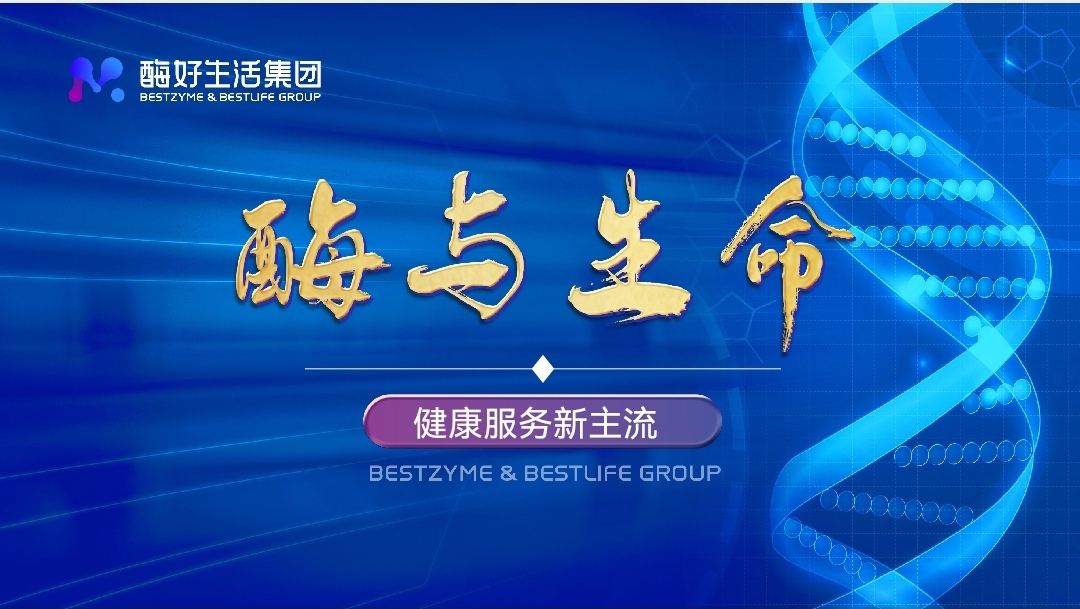酶与生命