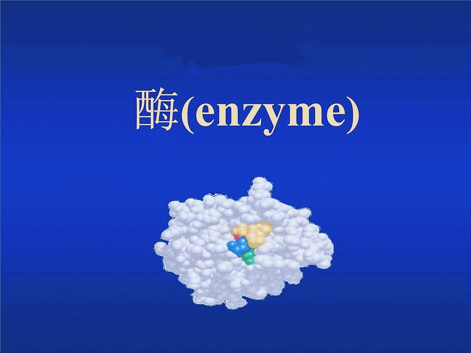 酶的作用和本制｜补充酶的最好方法，酶可以延缓衰老吗？