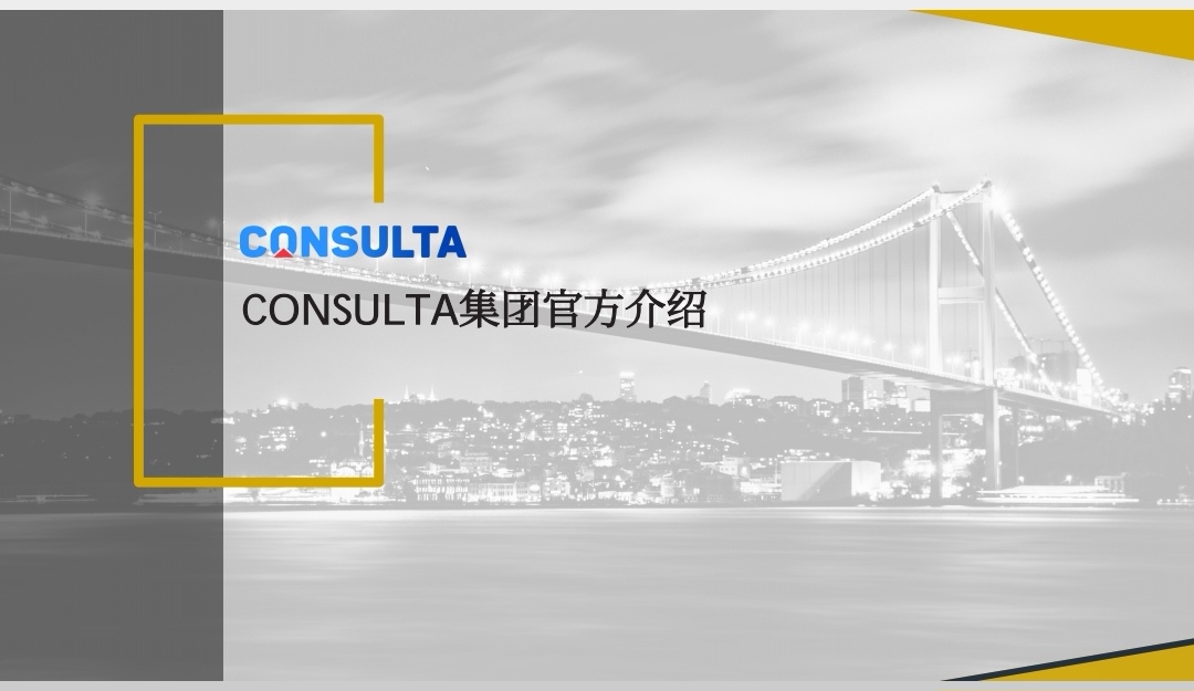 无极系统和土耳其consulta集团公司合作，为国内企业投资土耳其，土耳其企业投资中国提供服务。