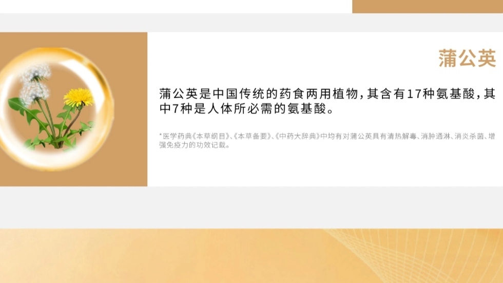 周训勇博士花旗松素固体饮料30bags盒装蒲公英粉蓝莓粉；公司有销售模式（请在线下实体店购买）