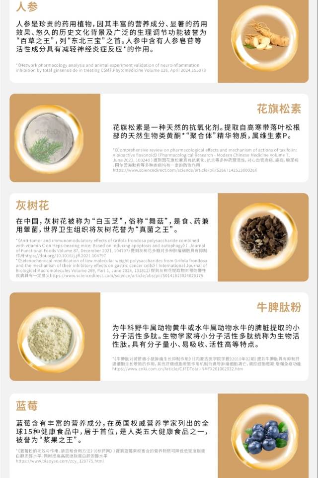 周训勇博士花旗松素固体饮料30bags盒装蒲公英粉蓝莓粉；公司有销售模式（请在线下实体店购买）