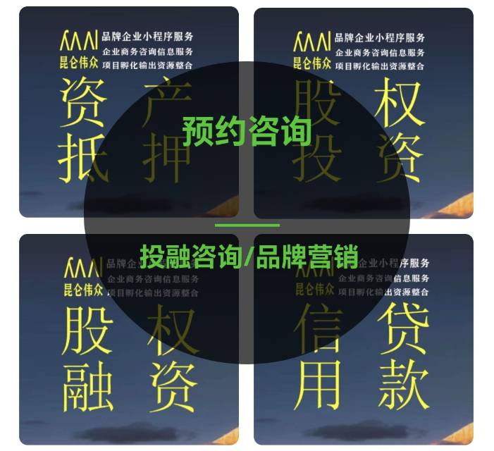昆仑微众都提供哪些商务咨询服务？