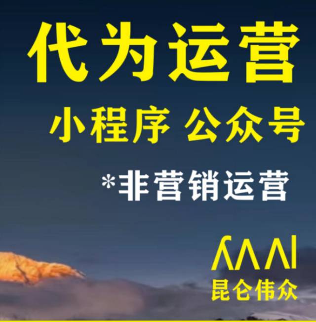 小程序运营托管（含一般营销不含管理）