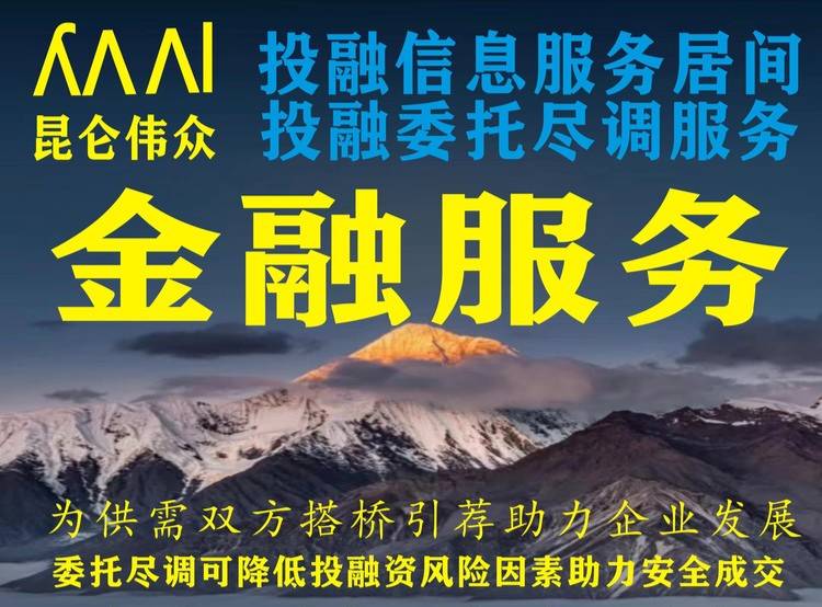 投融资服务合同保证金