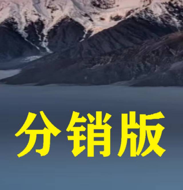 分销版：适合各种类型企业