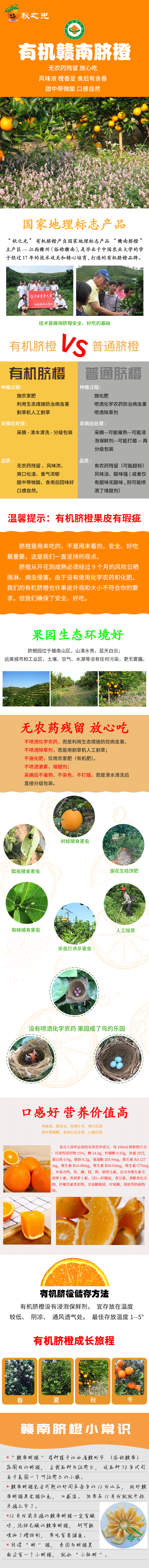 有机脐橙