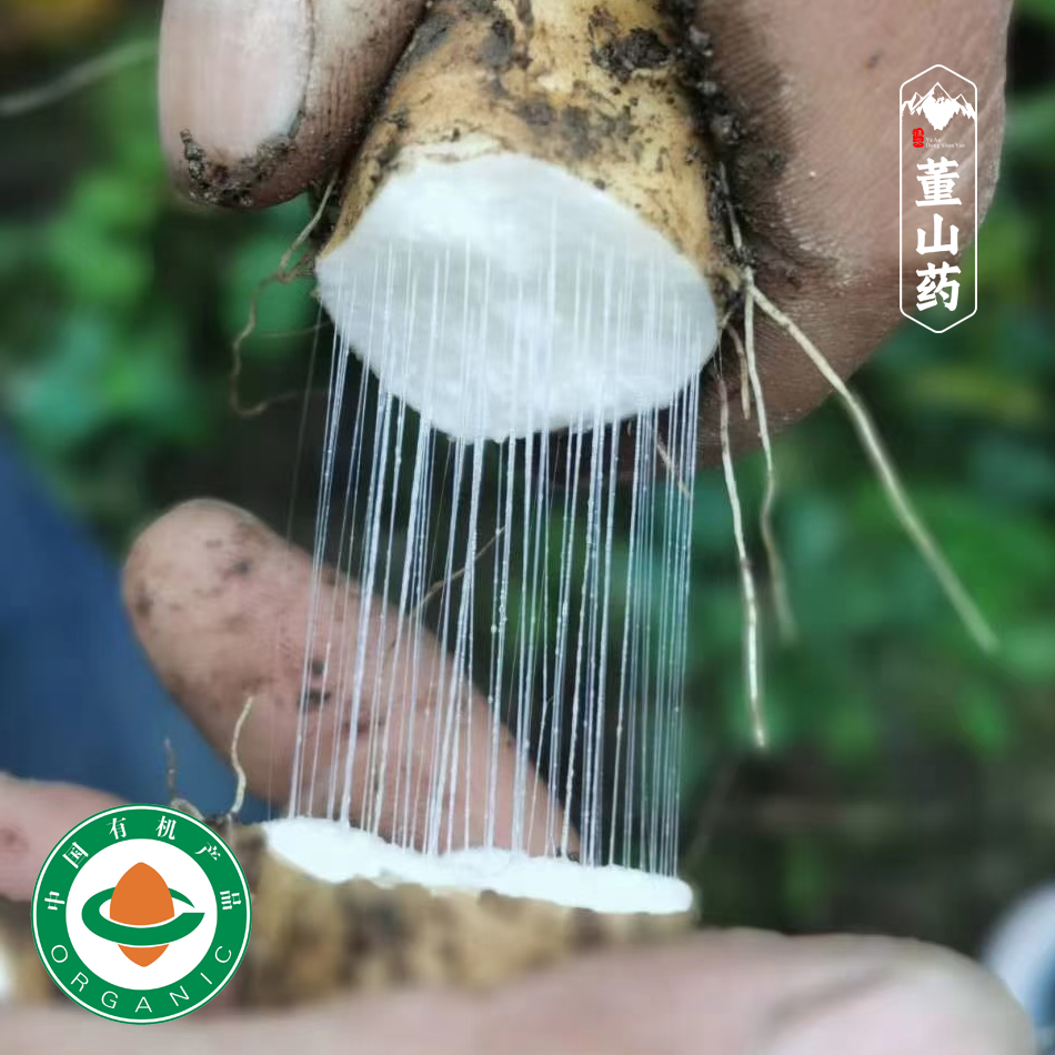 雪山糯山药