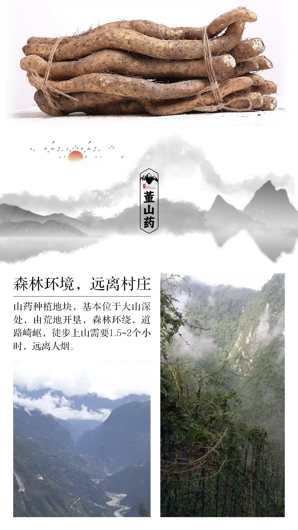 雪山糯山药