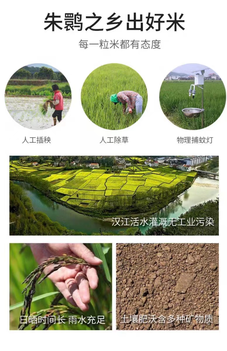 五彩米礼盒