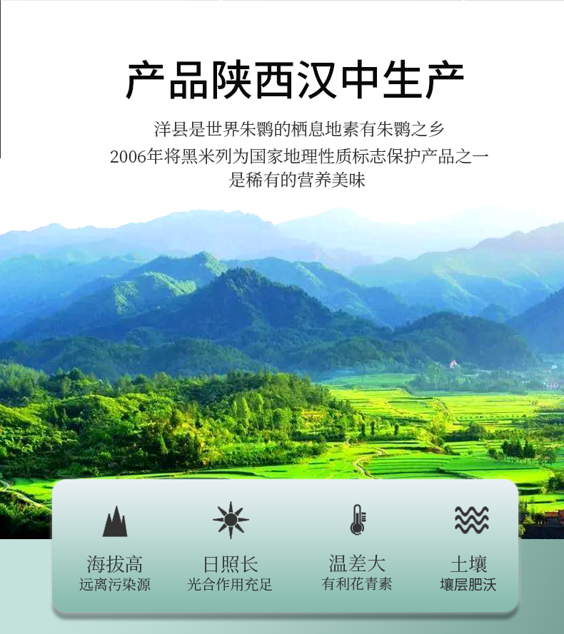 枣味茶