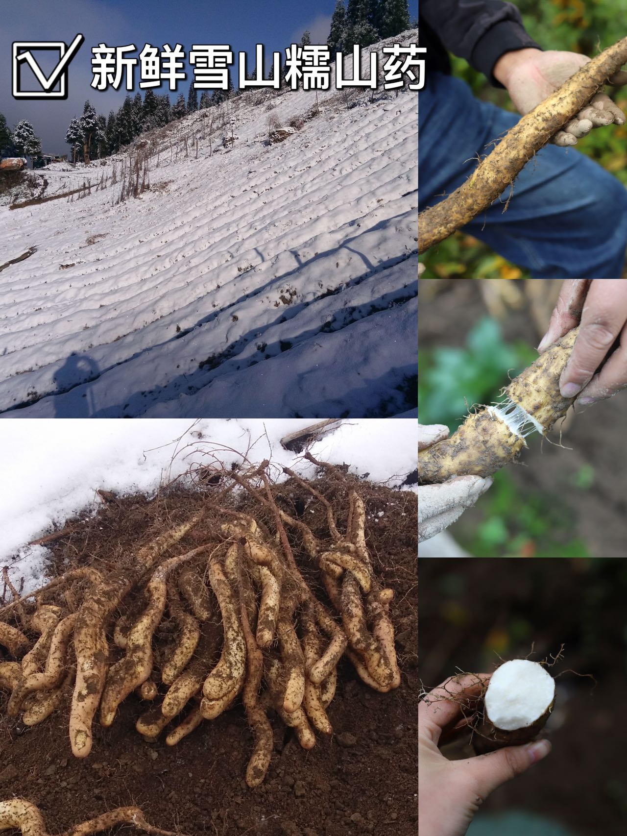 雪山山药原浆面